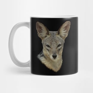 Jackal - wild dog - dog in Africa Mug